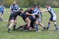 RUGBY CHARTRES 178.JPG